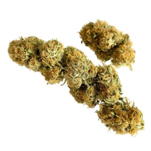 Deux fleurs de CBD français manucurées à la main.