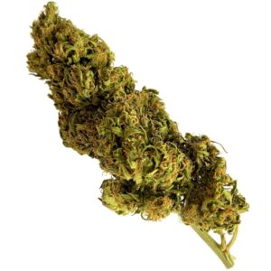 Fleurs de CBD bio et cultivées en France