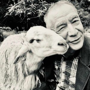 Producteur de CBD bio avec une brebis.