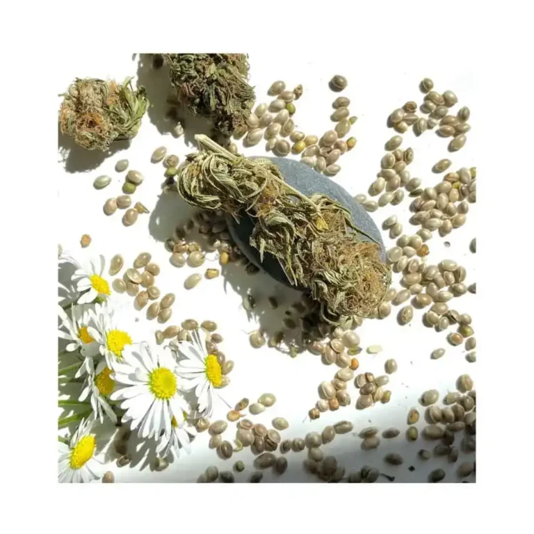 Acheter des produits CBD bio et des fleurs de CBD certifiées bio.