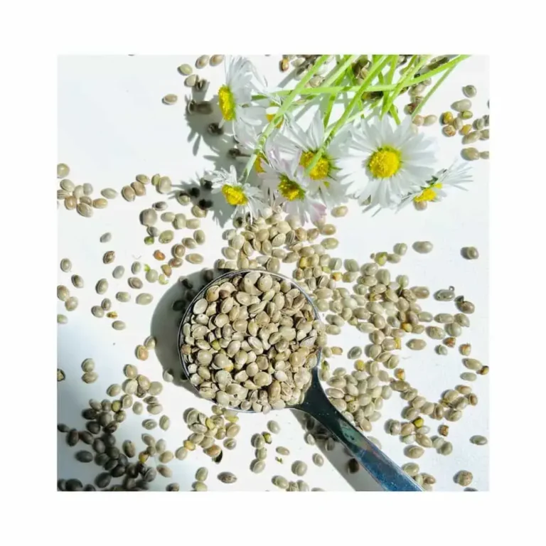 Résine de chanvre bio et 100% française