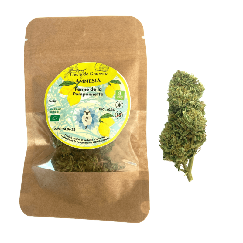CBD variété Amnésia