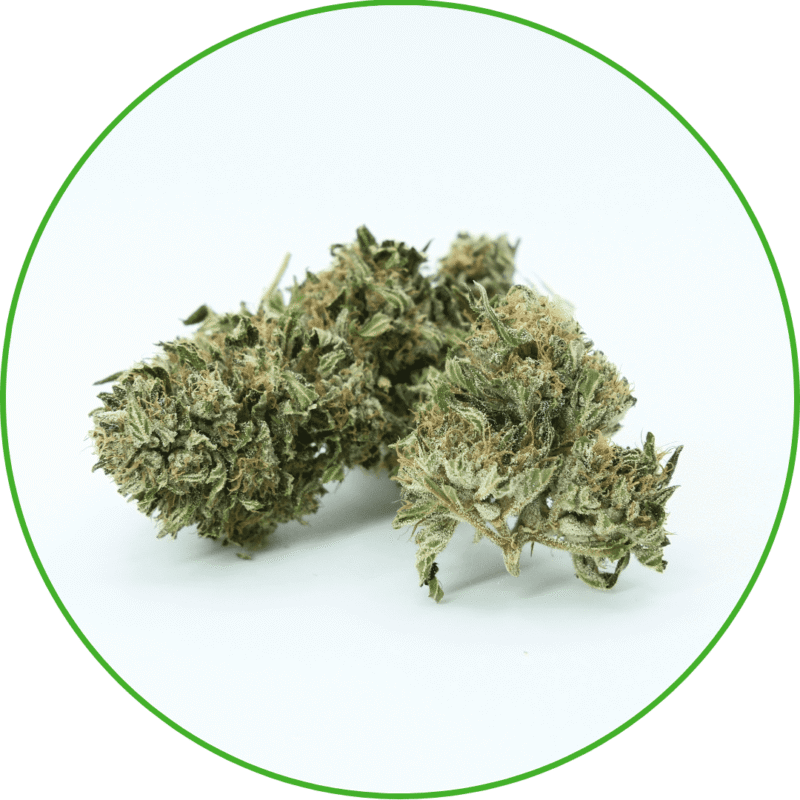 CBG CBD White CBG