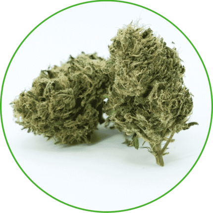 Fleur de CBD amnésia