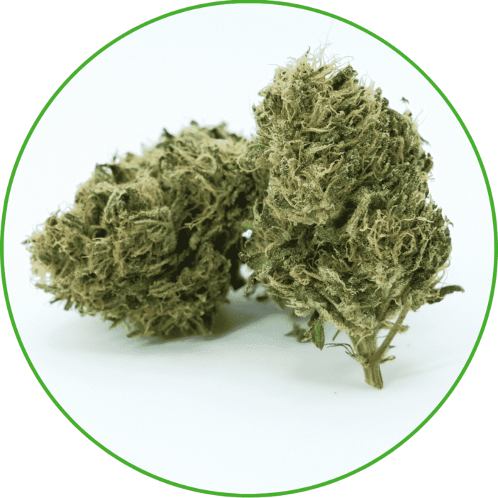 Fleur de CBD amnésia