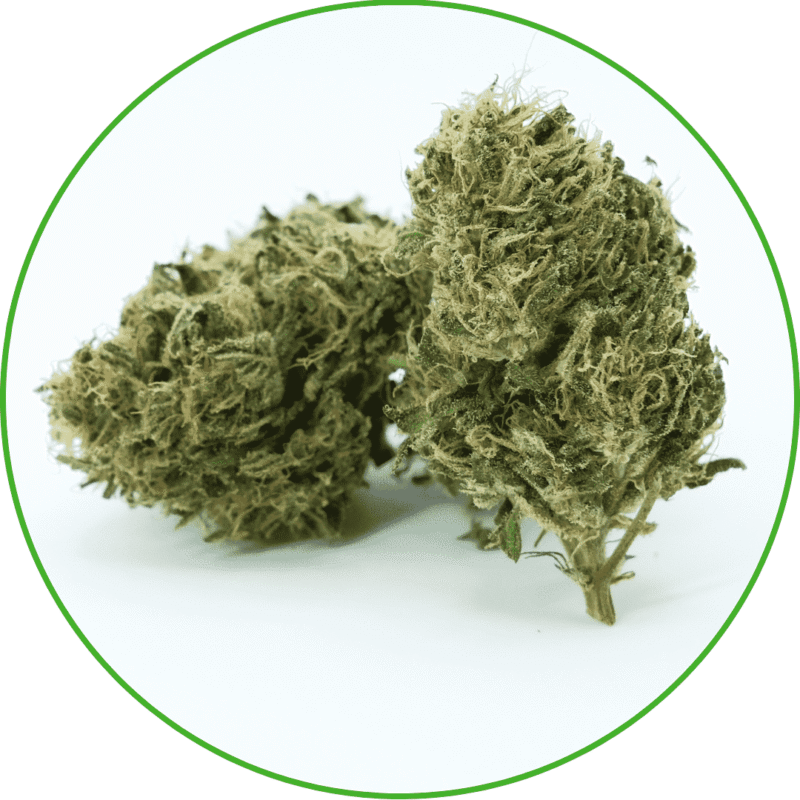 Fleur de CBD amnésia