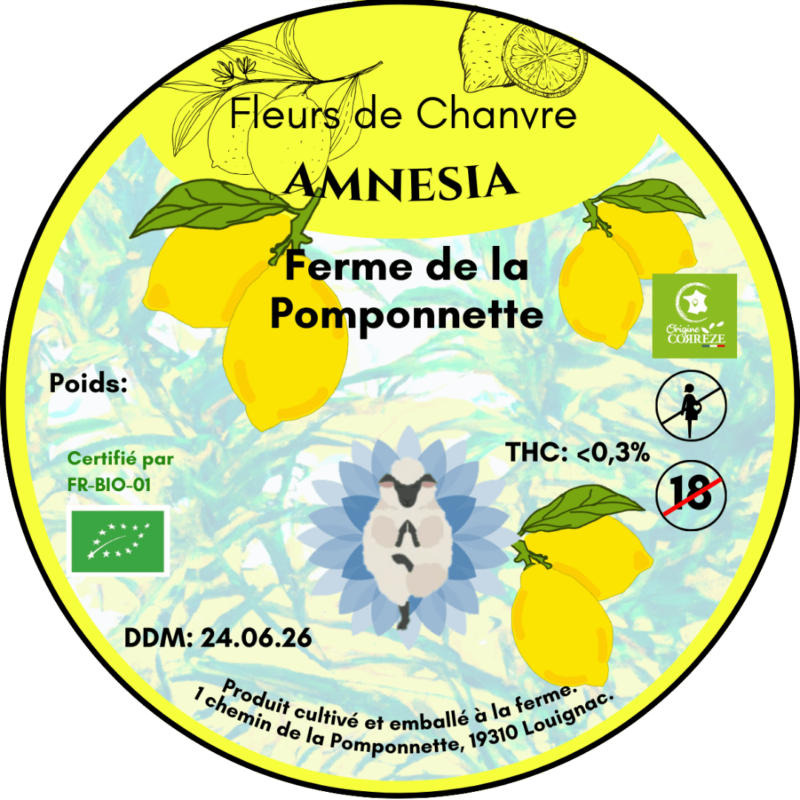 CBD Amnesia made in France