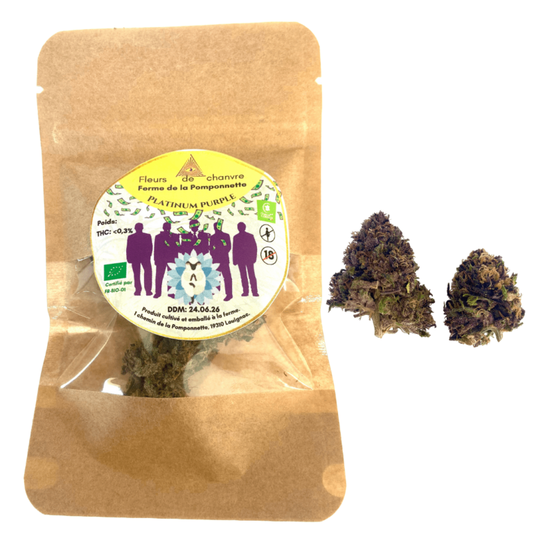 CBD Purple français