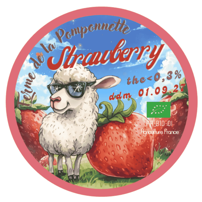 CBD Strawberry Fraise bio