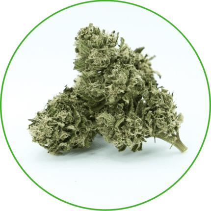 CBD Tropical Haze