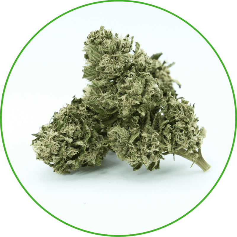 CBD Tropical Haze
