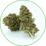 Fleur de CBD Banana Kush bio