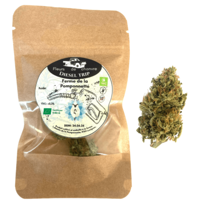 CBD variété Diesel