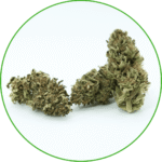 Fleurs de CBD Gelato