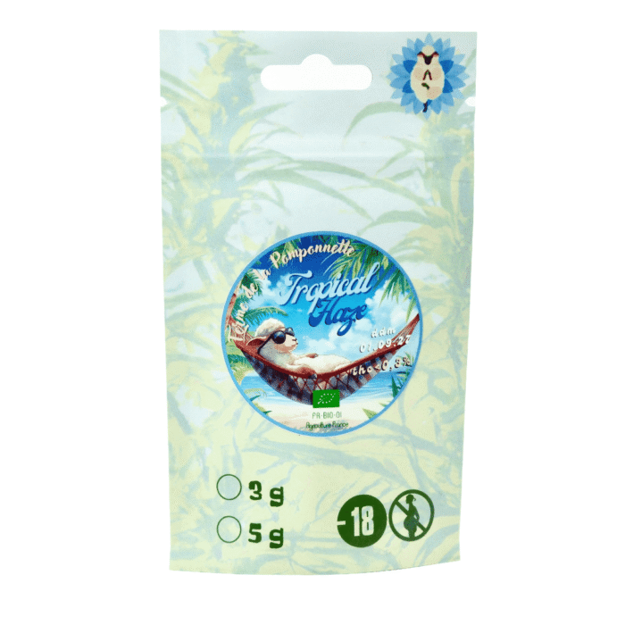 Fleur de CBD Tropical Haze