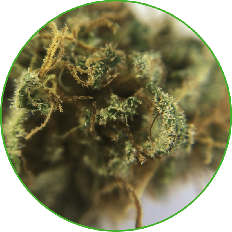 CBD bio wedding cake