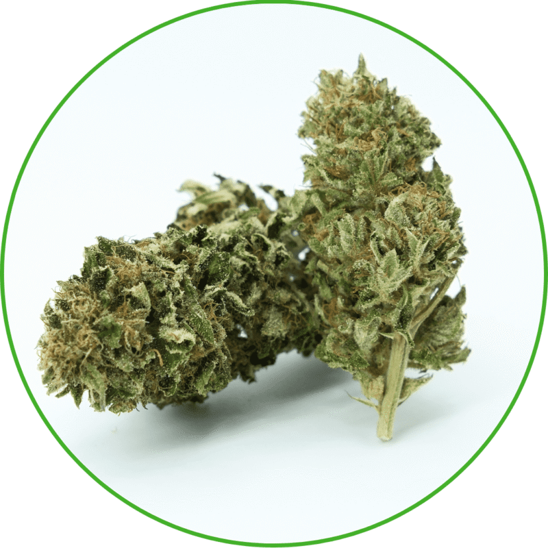 Fleur de CBD Strawberry bio