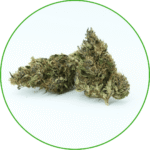 Fleur de chanvre Diesel Trip