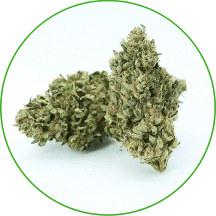 Fleurs de CBD Orange Bud