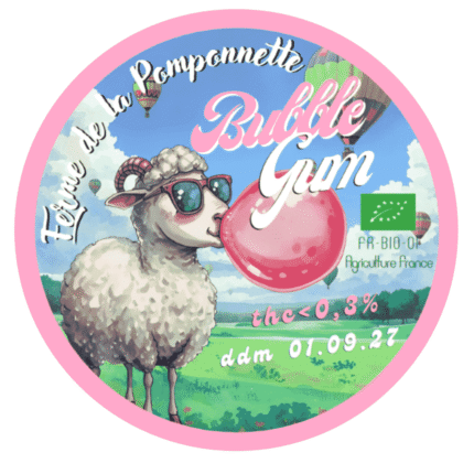 CBD Bubble GUM