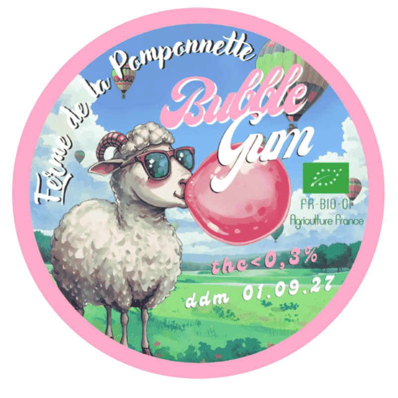 CBD Bubble GUM