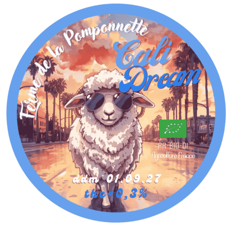 CBD Cali Dream