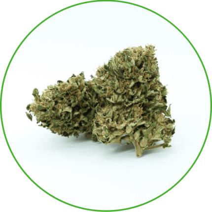 CBD Premium Skunk Queen