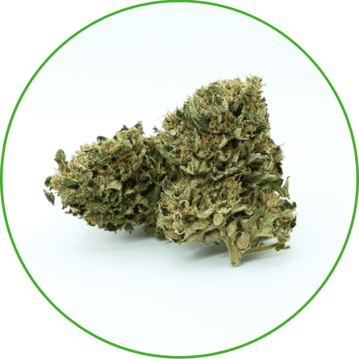 CBD Premium Skunk Queen