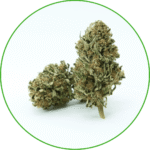 Cali Dream CBD France