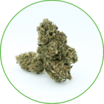 Fleurs de CBD Bubble GUM France