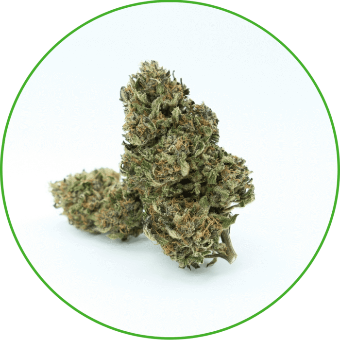 Fleurs de CBD Bubble GUM France