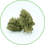 Fleurs de CBD OG Kush