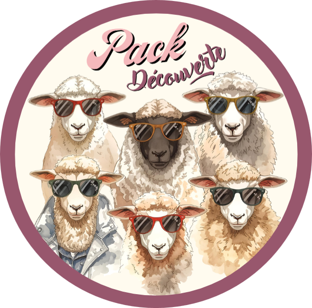 Pack découverte Pack Découverte - Fleur de chanvre bio – Image 1